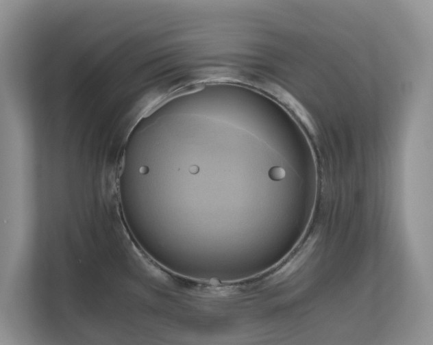 X0000111031385200907021529