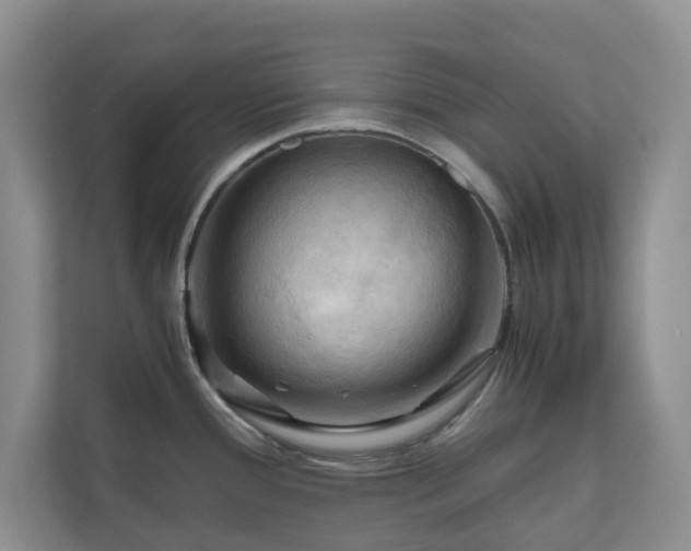 X0000111031388200907021529
