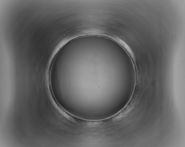 X0000111031389200907021529