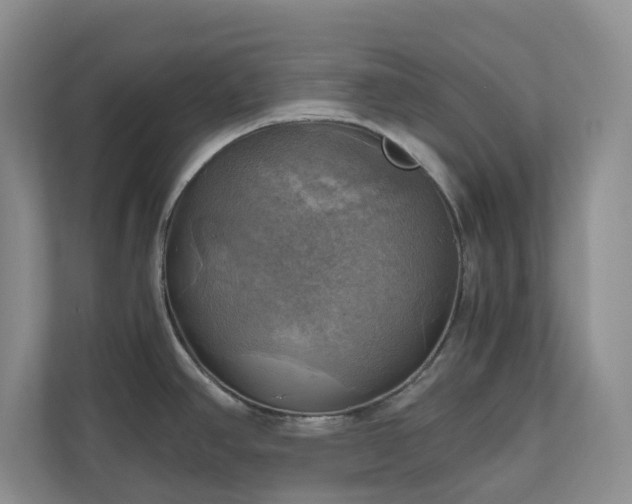 X0000111031390200907021529