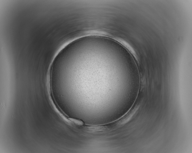 X0000111031391200907021529