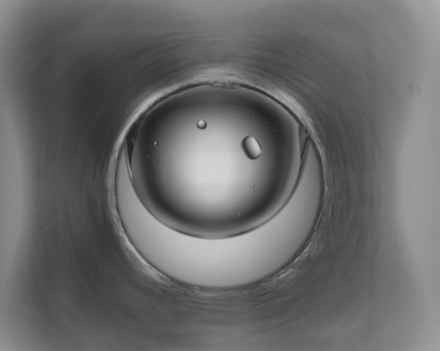 X0000111031392200907021529