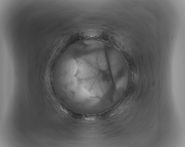 X0000111031393200907021529