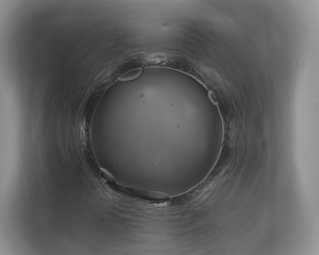 X0000111031394200907021529