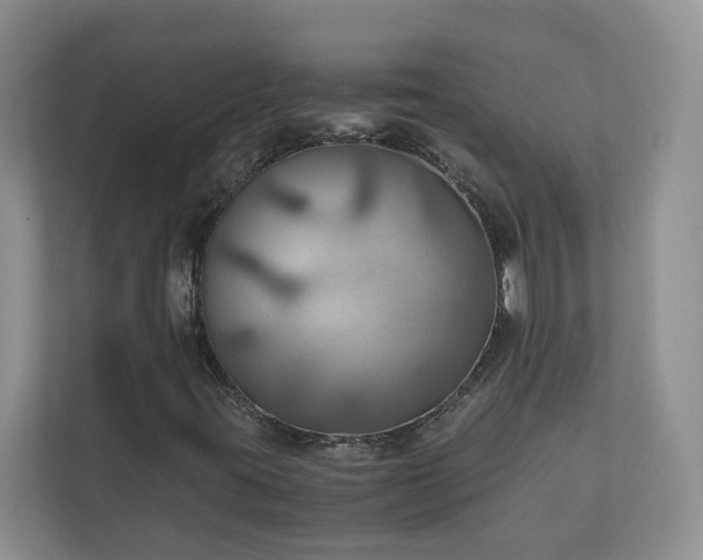 X0000111031395200907021529