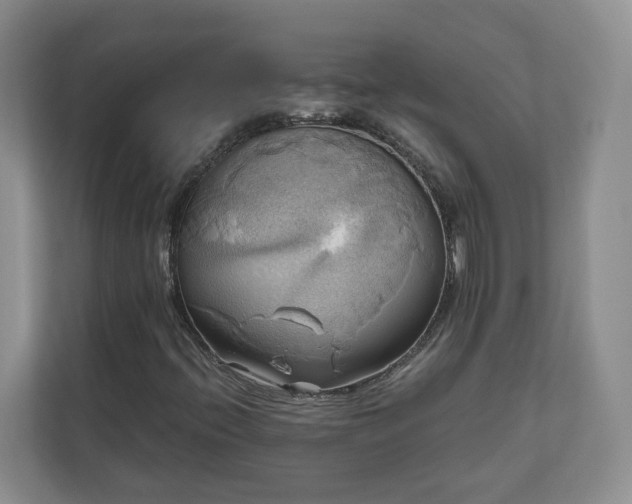 X0000111031396200907021529