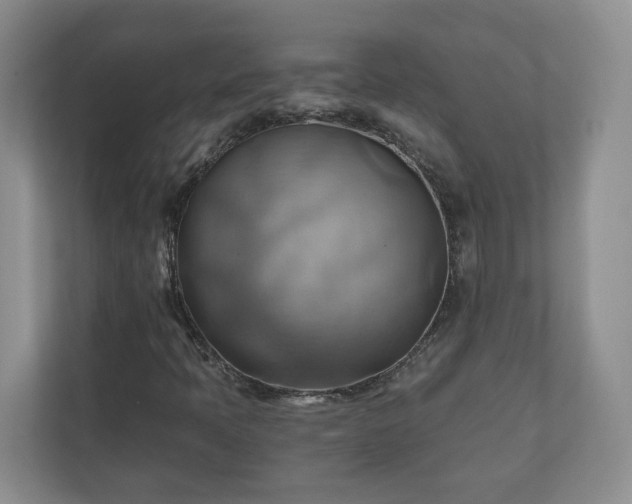 X0000111031397200907021529