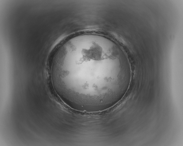 X0000111031400200907021529