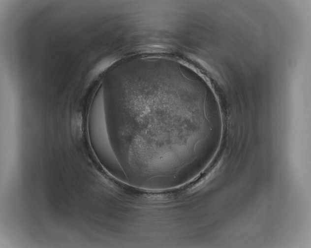 X0000111031402200907021529