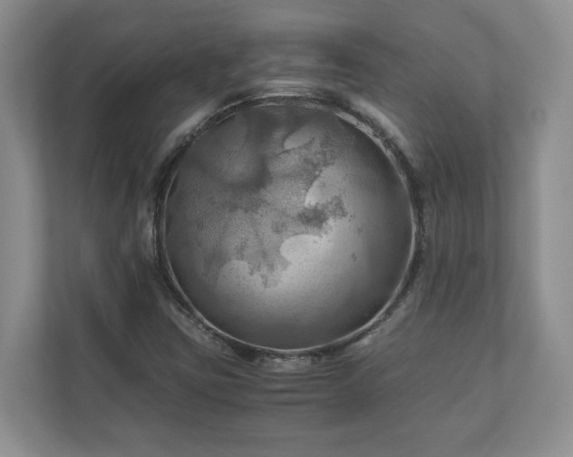 X0000111031403200907021529