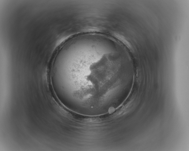 X0000111031404200907021529