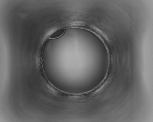 X0000111031405200907021529