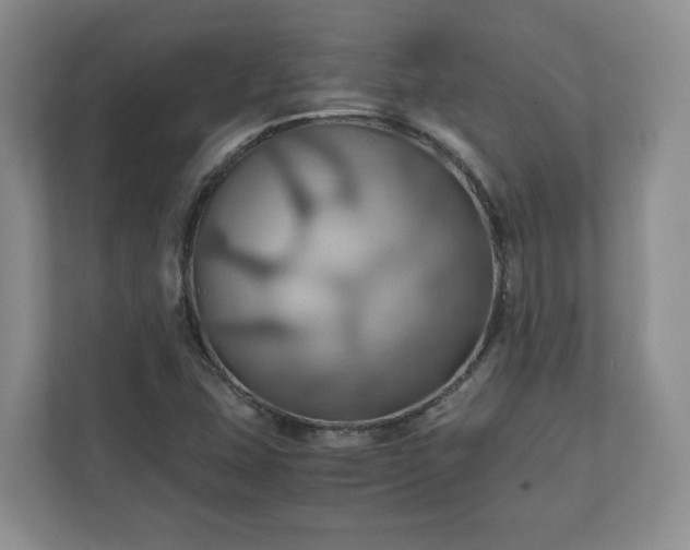 X0000111031407200907021529
