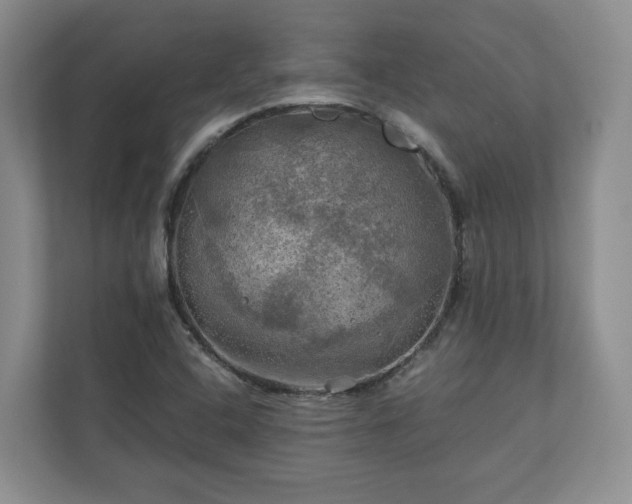 X0000111031408200907021529