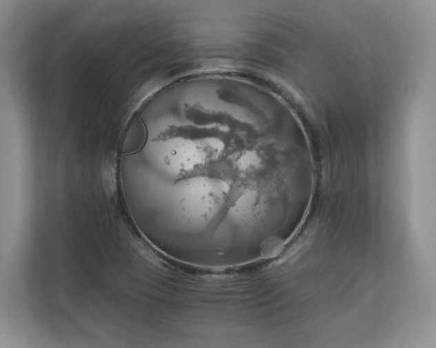 X0000111031409200907021529