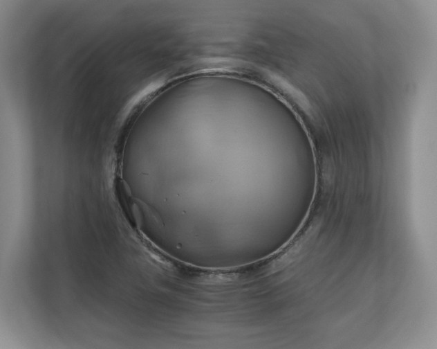 X0000111031411200907021529