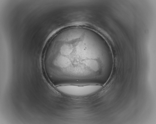 X0000111031412200907021529