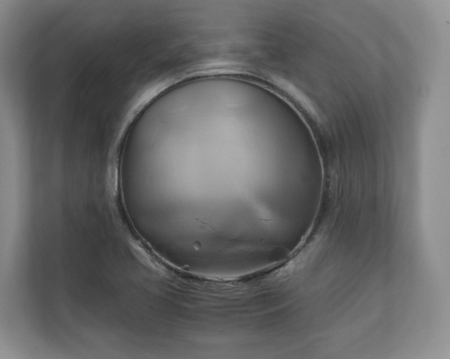 X0000111031413200907021529
