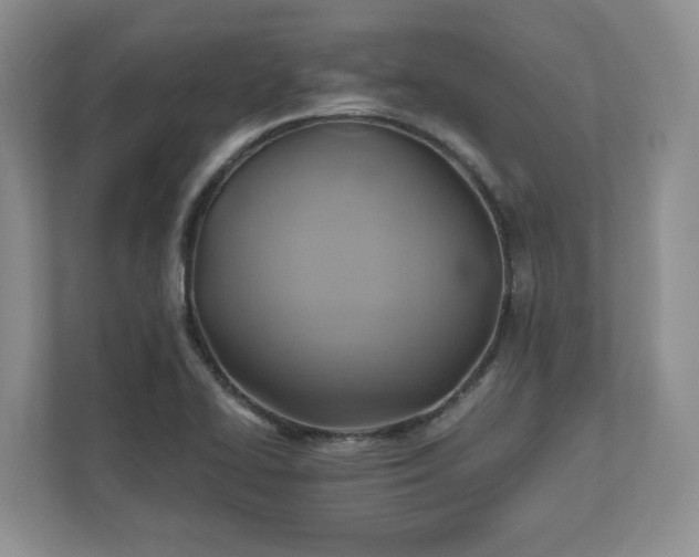 X0000111031414200907021529