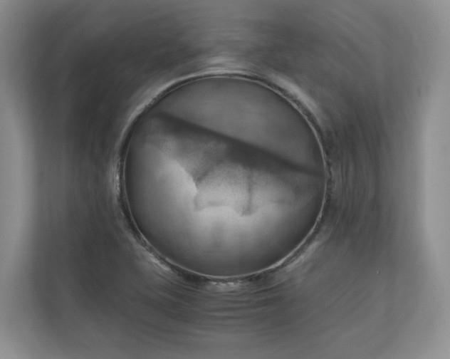 X0000111031415200907021529