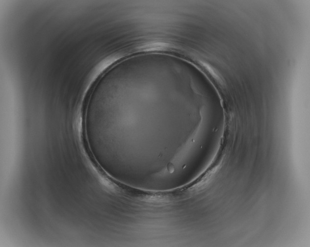 X0000111031418200907021529