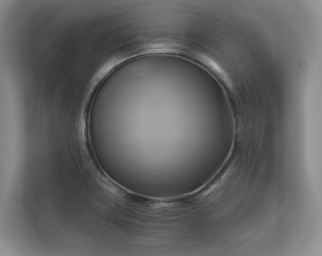X0000111031419200907021529
