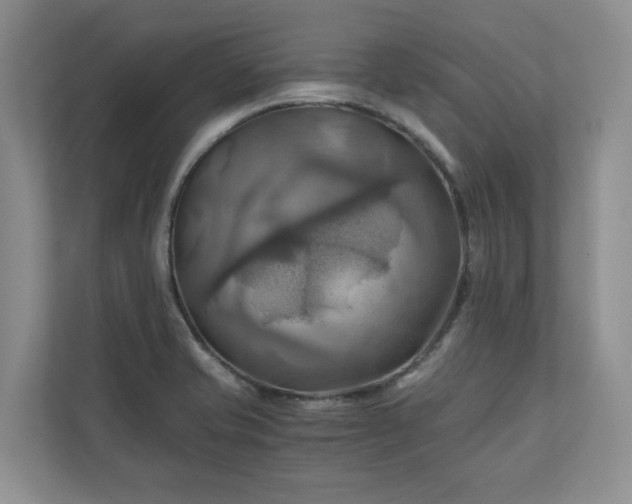 X0000111031421200907021529