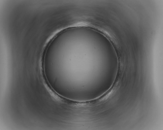 X0000111031422200907021529