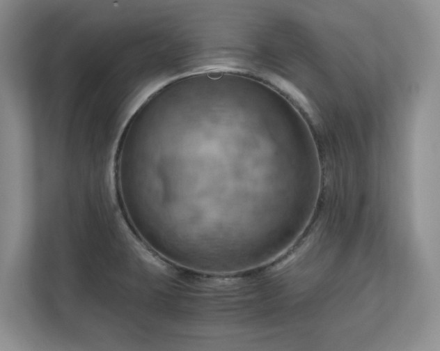 X0000111031423200907021529