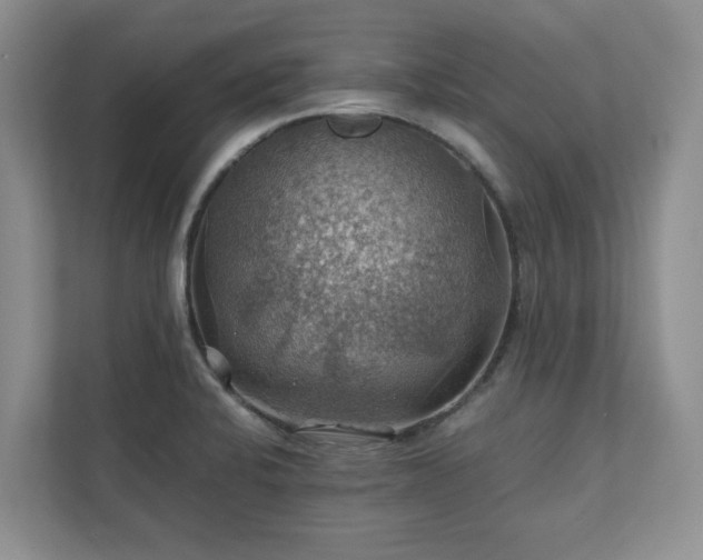 X0000111031424200907021529