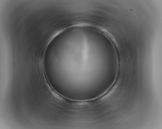 X0000111031425200907021529