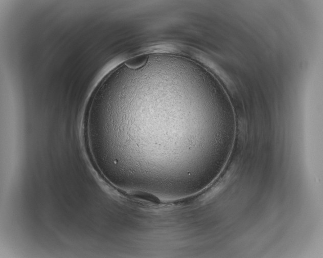 X0000111031426200907021529