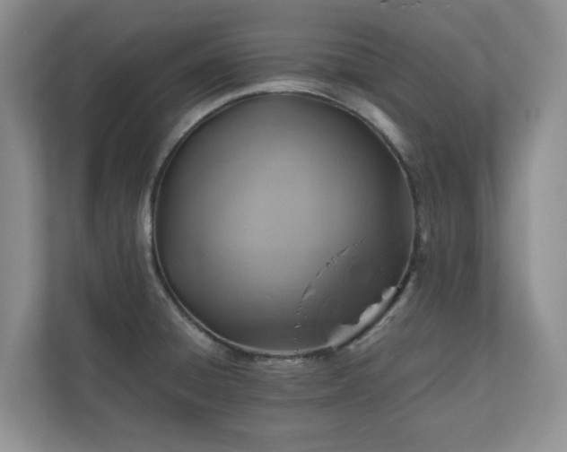 X0000111031428200907021529