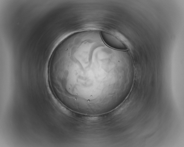 X0000111031431200907021529