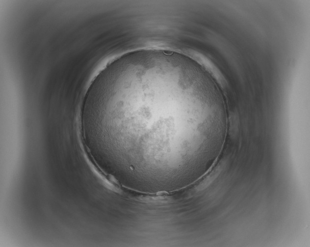 X0000111031432200907021529
