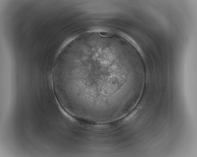 X0000111031433200907021529