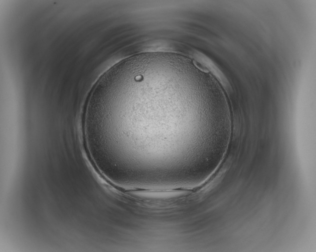 X0000111031434200907021529