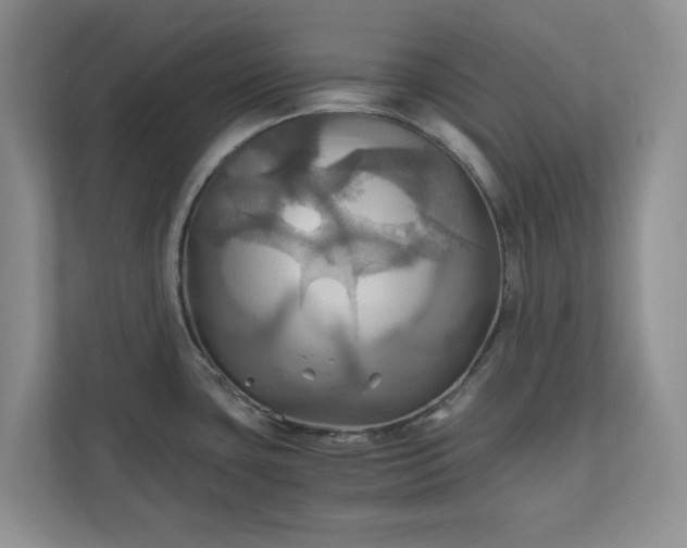 X0000111031435200907021529