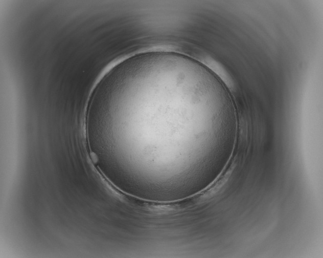 X0000111031436200907021529