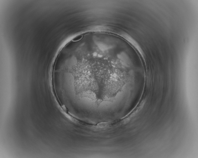 X0000111031437200907021529