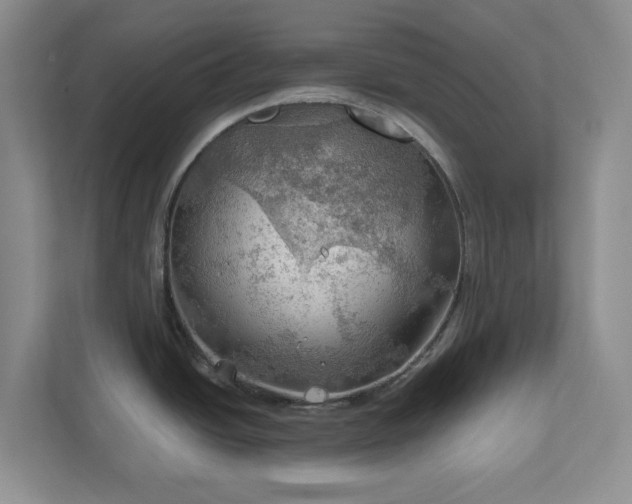X0000111031438200907021529