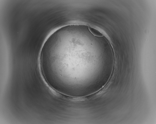 X0000111031440200907021529