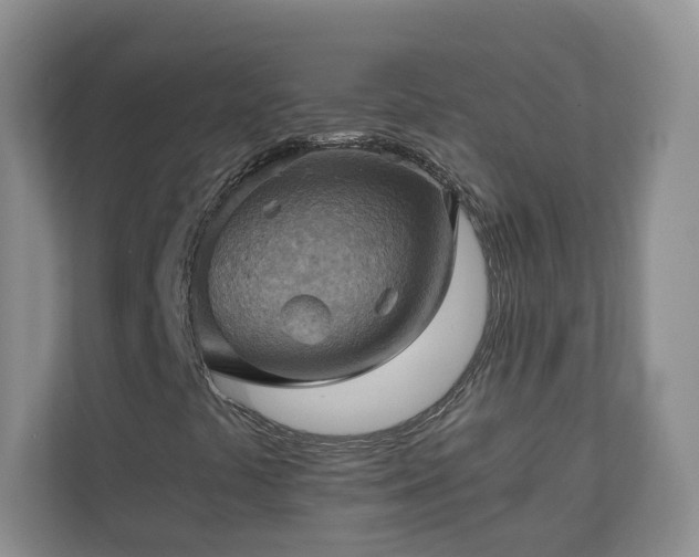 X0000111031441200907021529