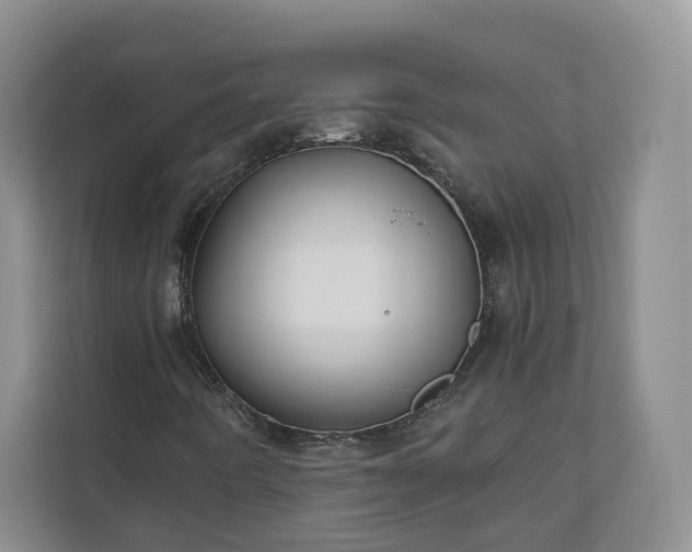 X0000111031442200907021529