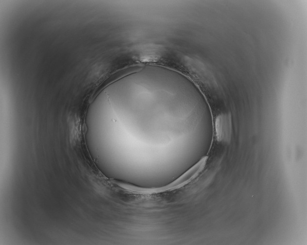 X0000111031443200907021529