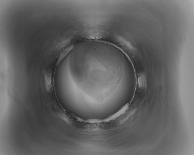 X0000111031444200907021529