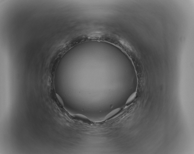 X0000111031445200907021529