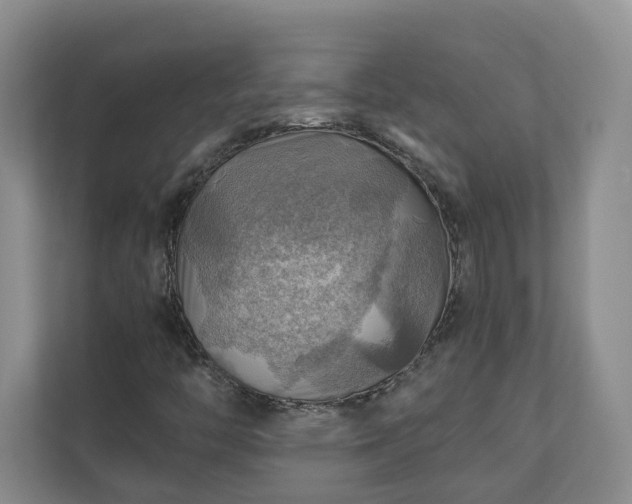 X0000111031446200907021529