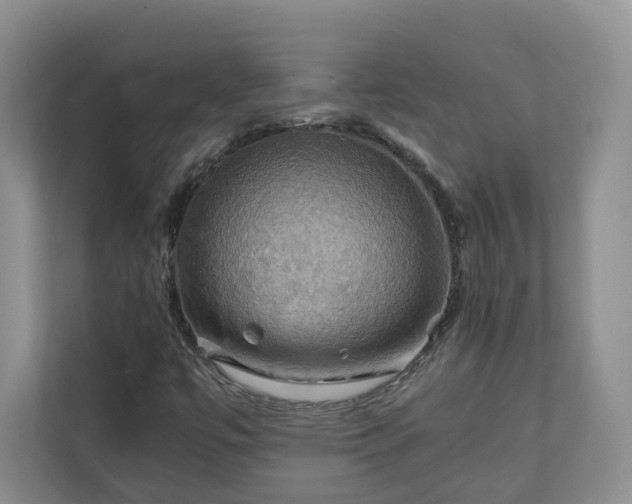 X0000111031447200907021528