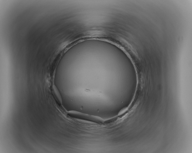 X0000111031449200907021528